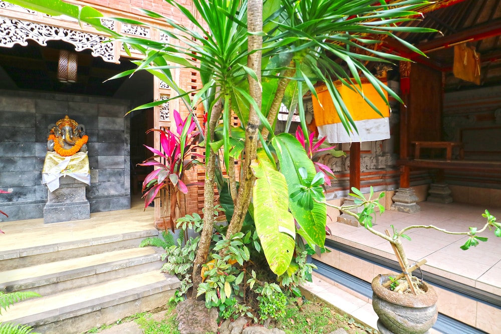 New Ubud Hostel 11/29