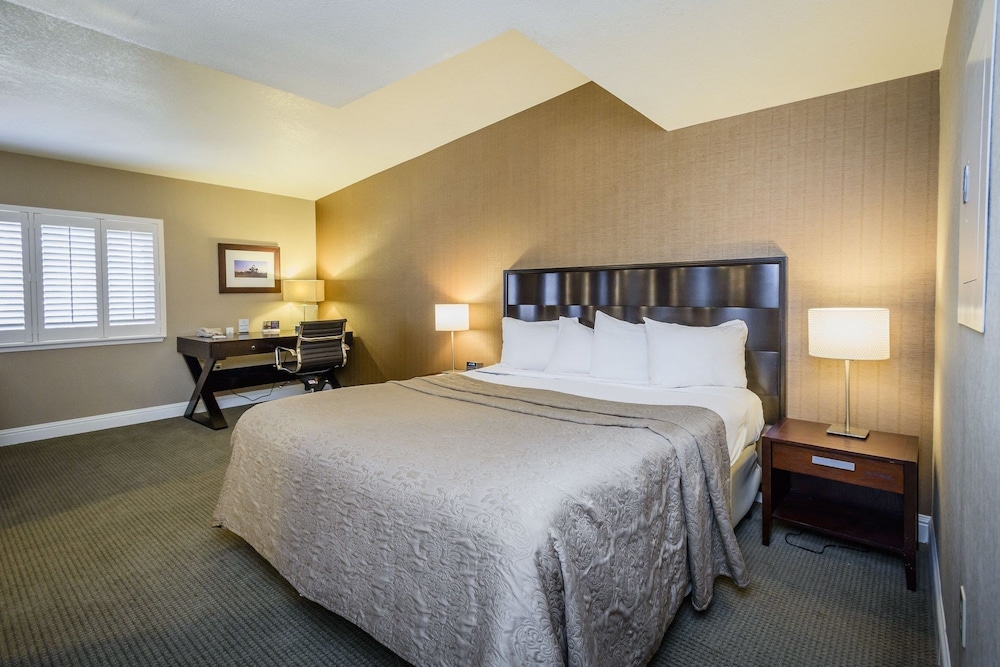 Lions Gate Hotel 13/44