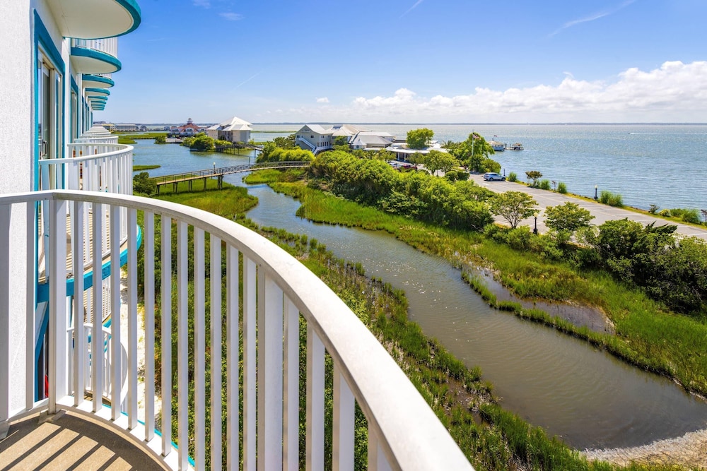 Coconut Malorie Resort Ocean City, an Ascend Collection Hotel 59/61