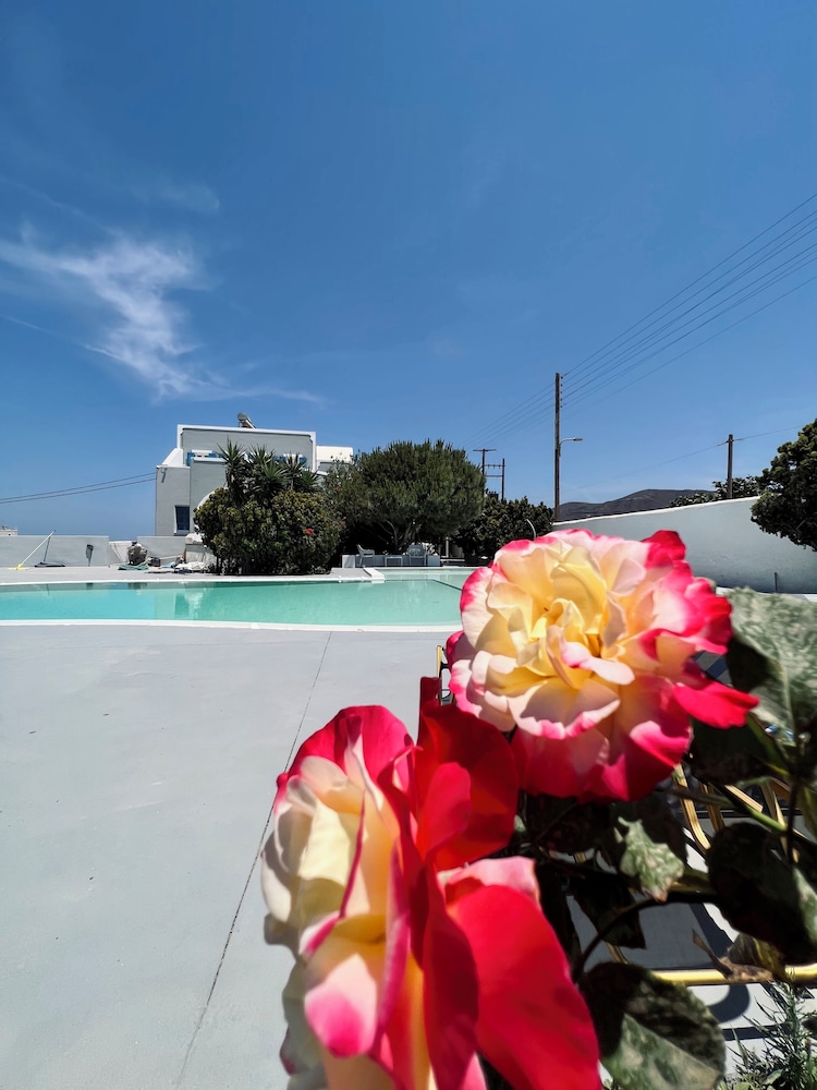 Santo Margarita 12/41