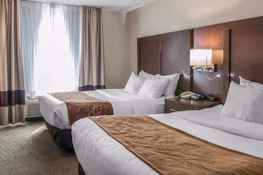 Comfort Suites Wixom - Novi 10/32