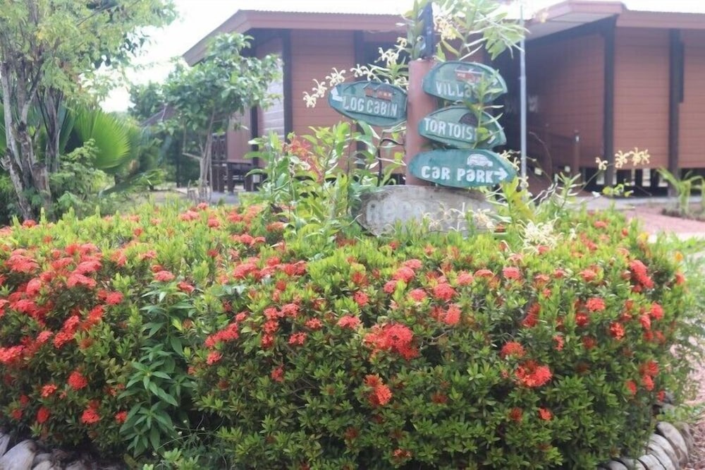 Heliconia Grove 35/46