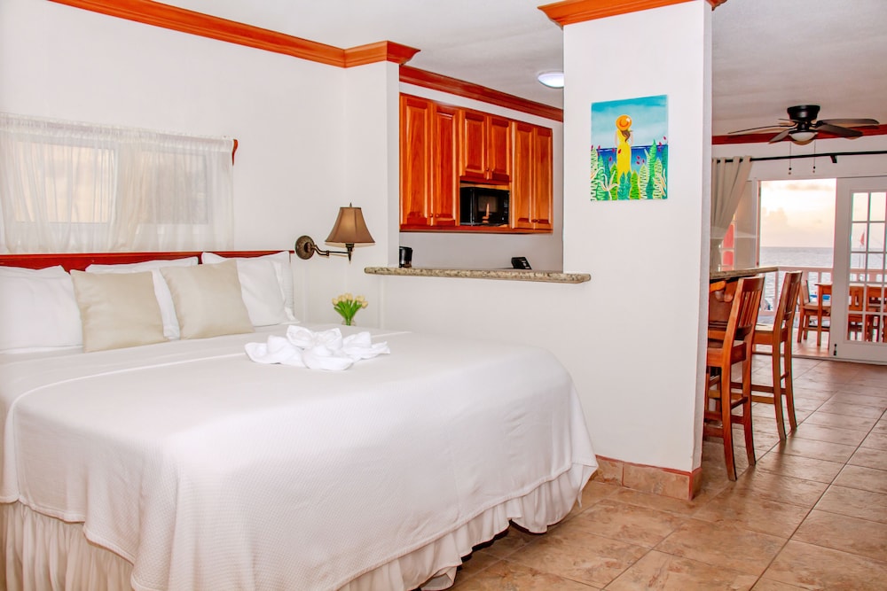 Mayan Princess Hotel 15/50