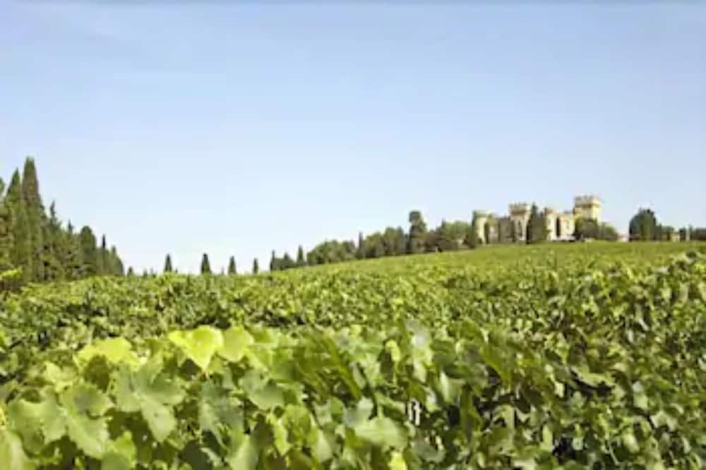 Host Du Chateau Des Fines Roches 30/40