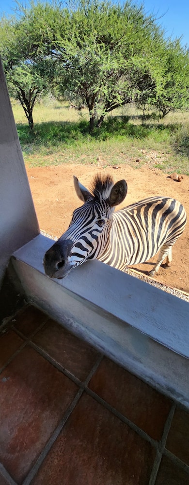 Thandolwami Bushlodge & Spa 13/26