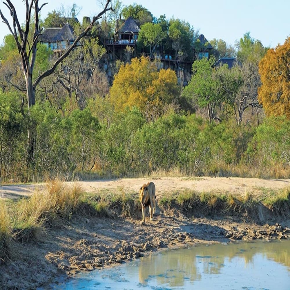 Leopard Hills 25/37