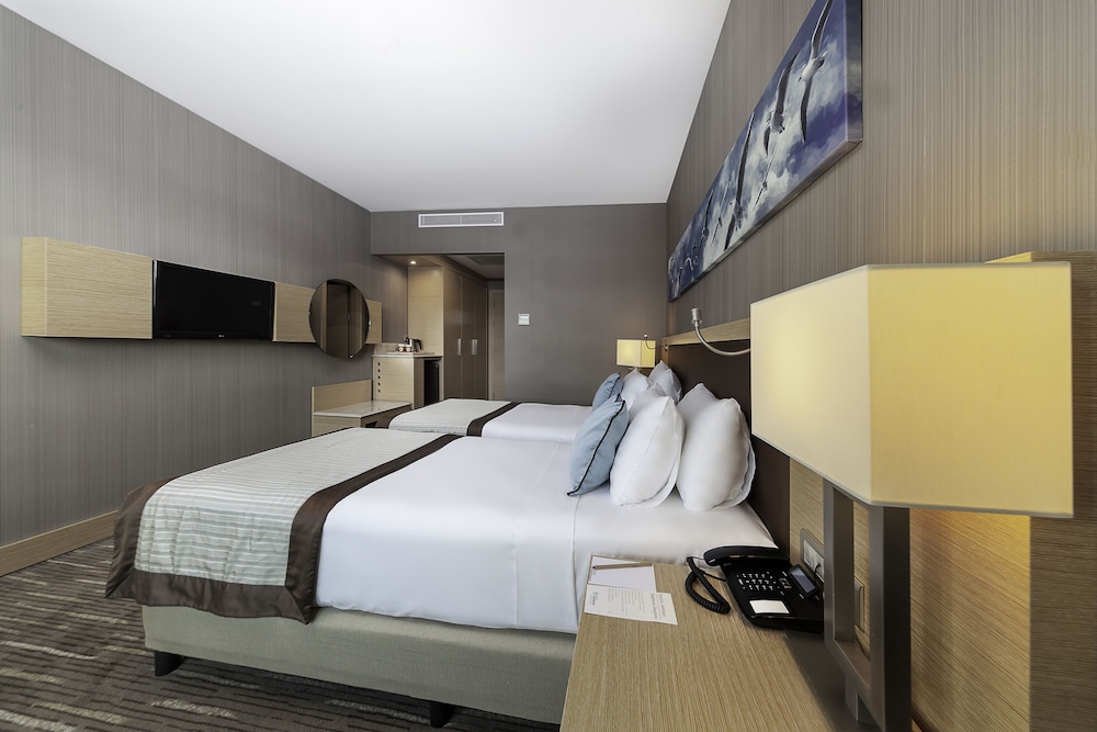 Park Dedeman Bostanci Hotel 26/52