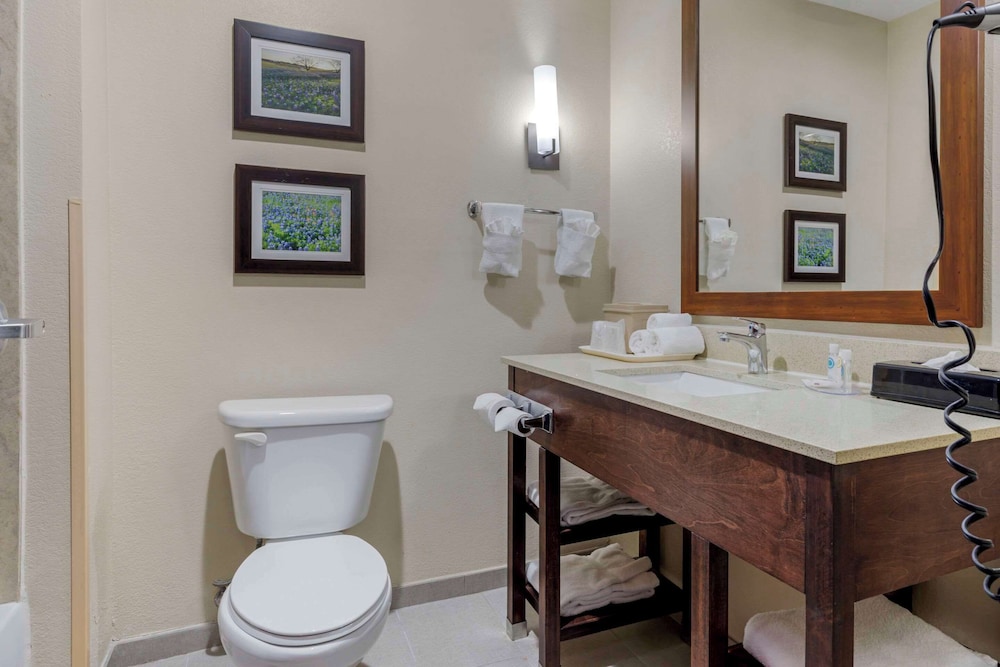 جناح بسرير كينج، Comfort Suites Benbrook - Fort Worth Southwest 4/4