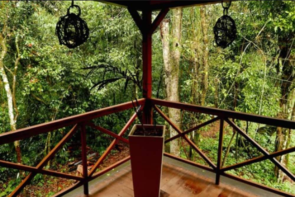 Selva de Laurel 65/71