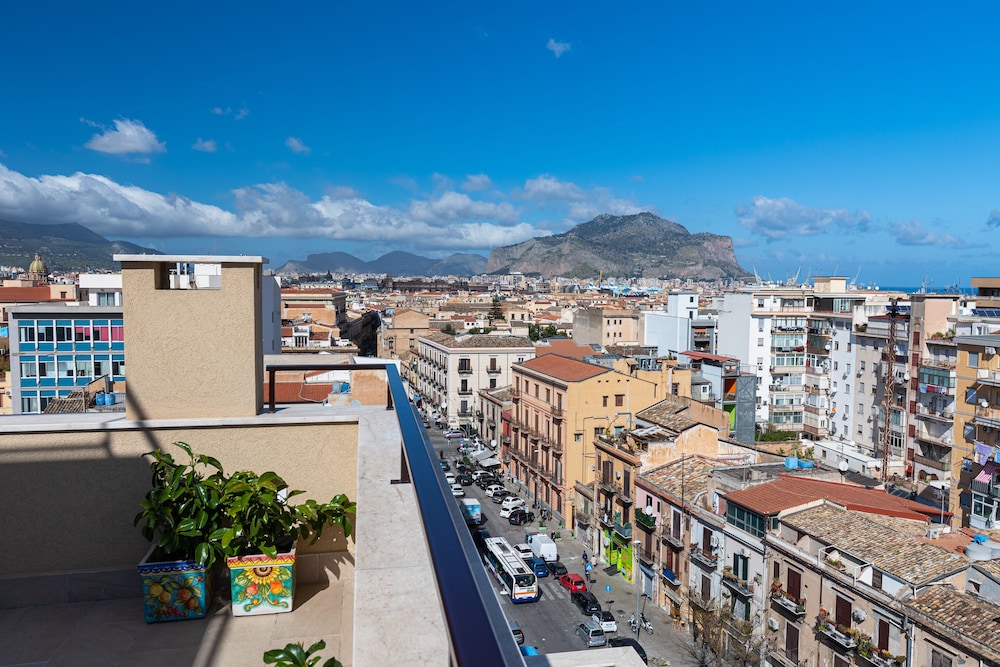 Multi Suite Palermo 39/50