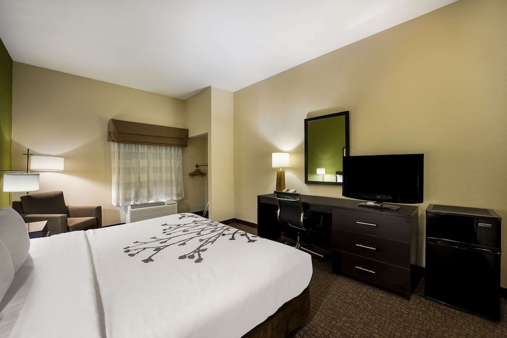 غرفة بسرير كينج لذوي الإعاقة، Sleep Inn & Suites Valdosta Mall Area 3/4