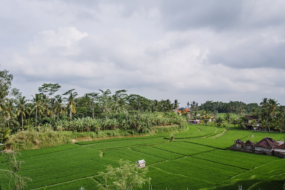 Om Ham Retreat And Resort 45/73