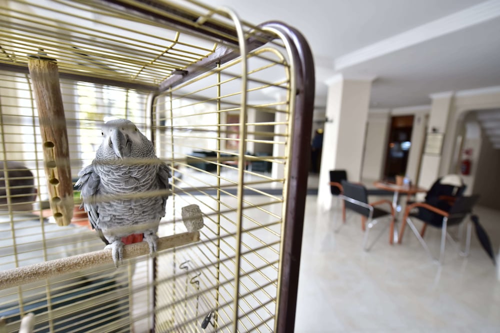 Topkapi Hotel 58/69