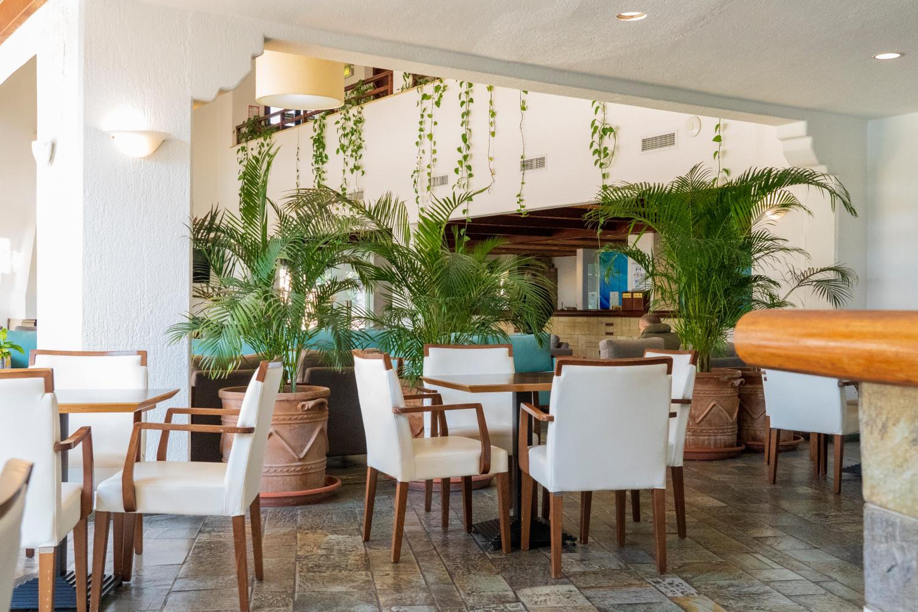 Paphos Gardens Holiday Resort 39/50
