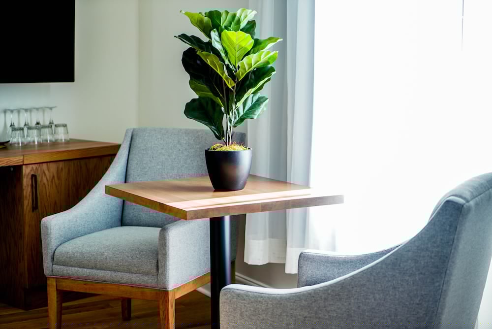 hotel & spa Carre Saint-Louis 50/71