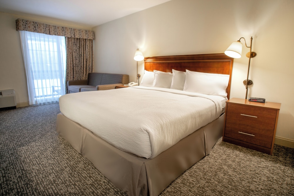 Deluxe, Single, King Bed