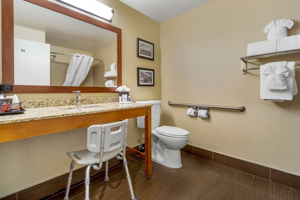Comfort Inn & Suites Sea-Tac Airport 18/38