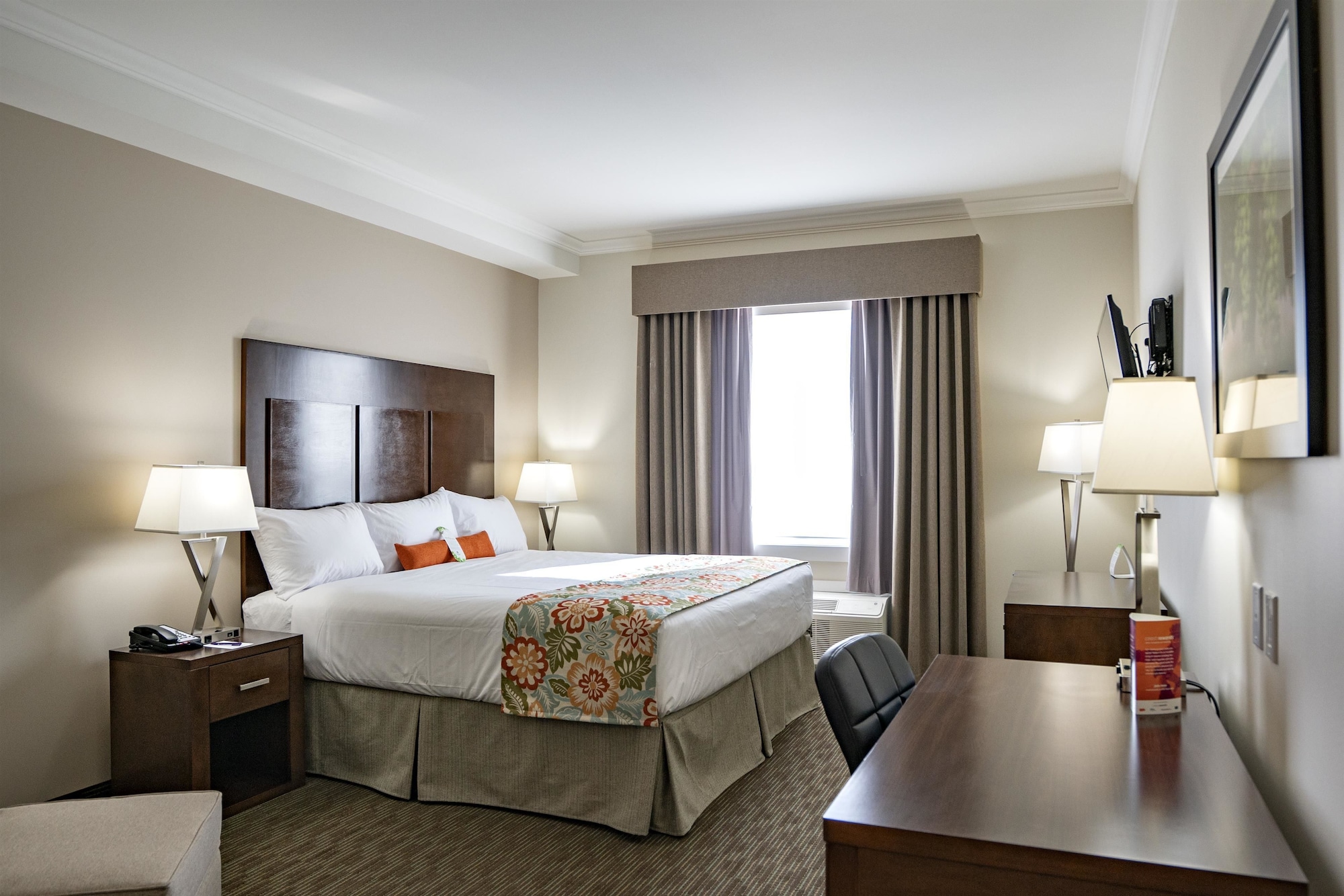 Coast, King Bed, Kitchenette