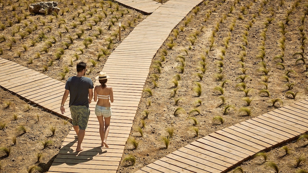 NAXIAN ON THE BEACH 20/50