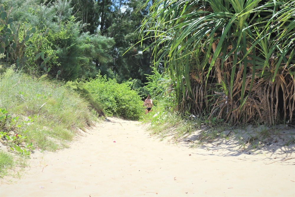 Under The Coconut Tree 34/50