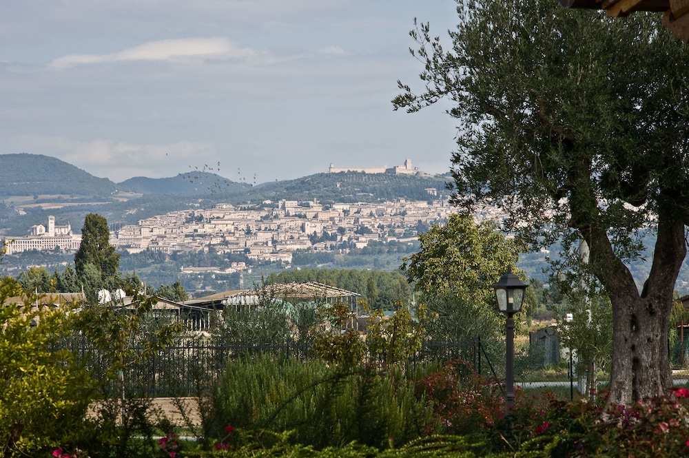 AGRITURISMO LE RONDINI DI FRANCESCO DI ASSISI 57/66