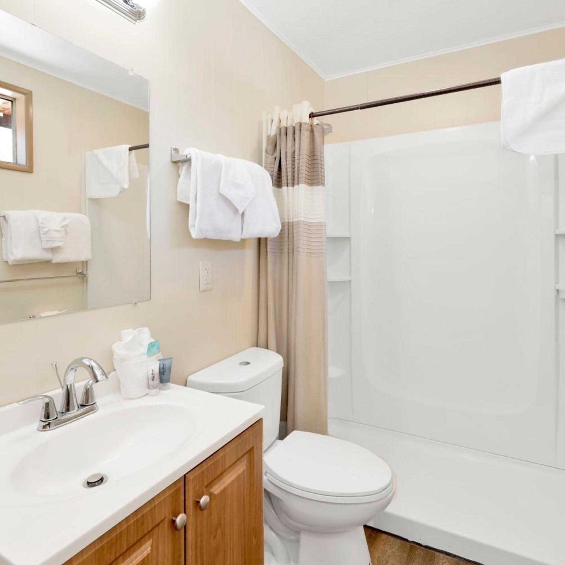 Twin Pines Family Cabin by Big Bear Vacations 28/28