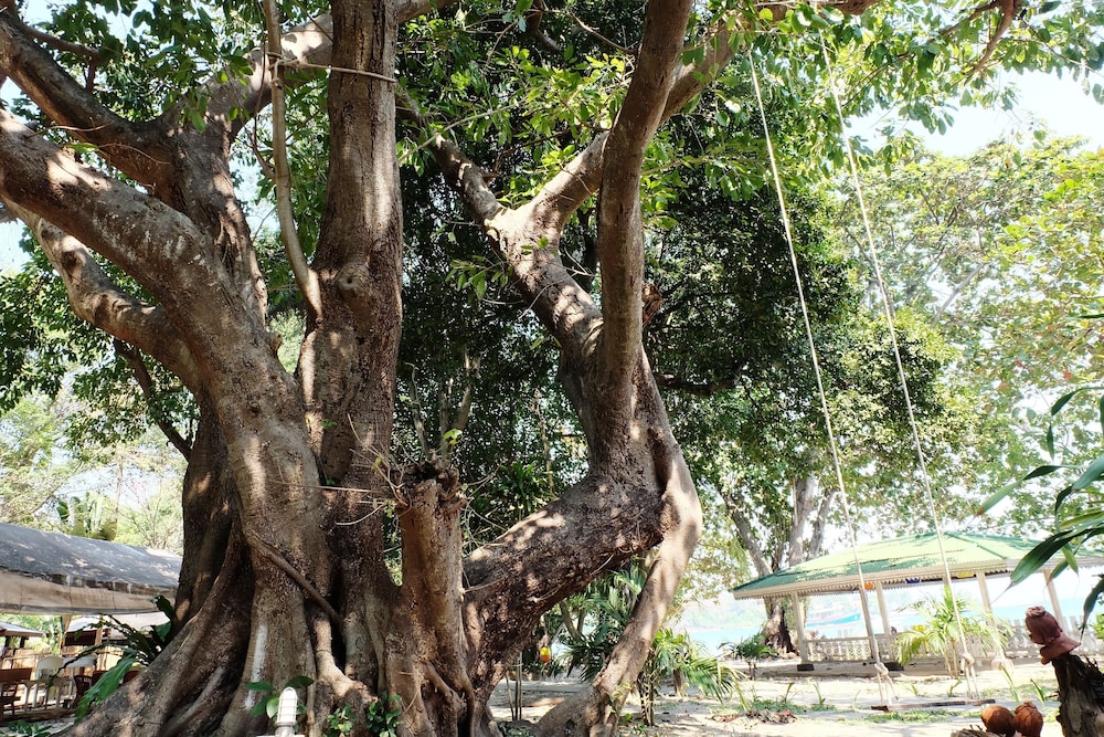 surroundings