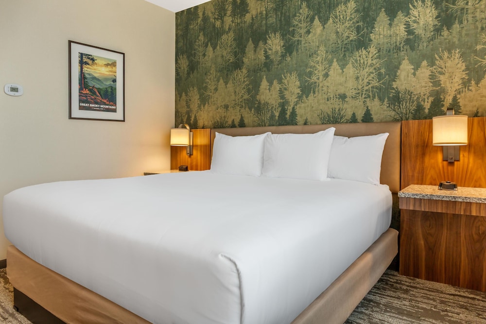 Drury Plaza Hotel Nashville Southeast Century Farms 6/28