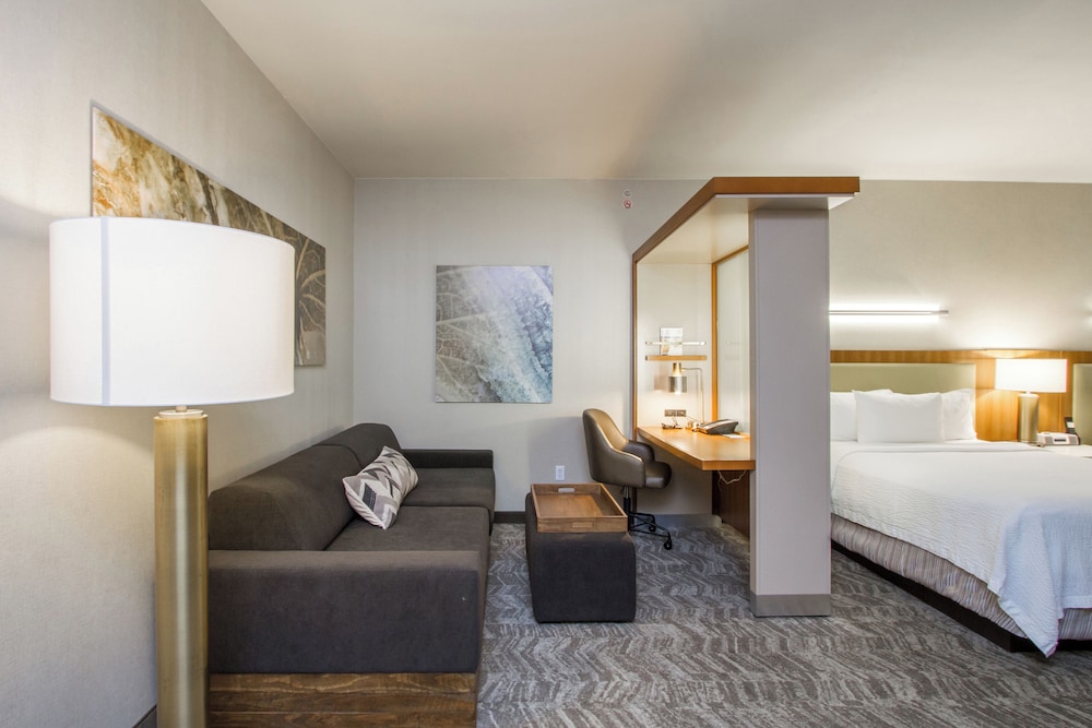 SpringHill Suites by Marriott San Angelo 15/50