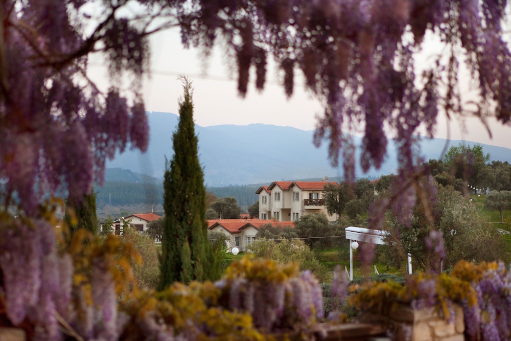 Vinifera Vineyards Hotel 42/50