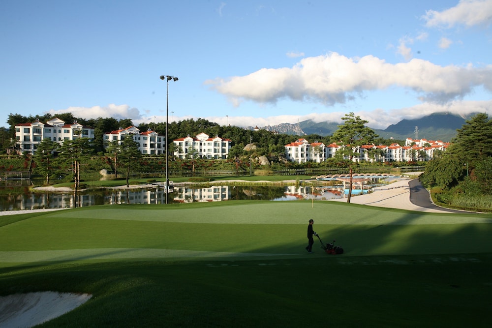 PINE RIDGE RESORT 39/47