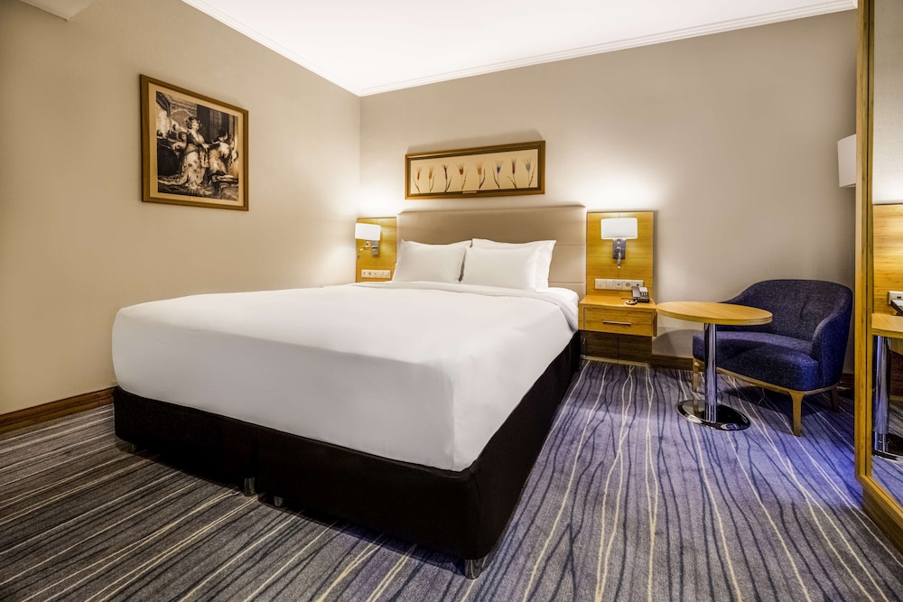 Radisson Hotel President Old Town Istanbul 14/50