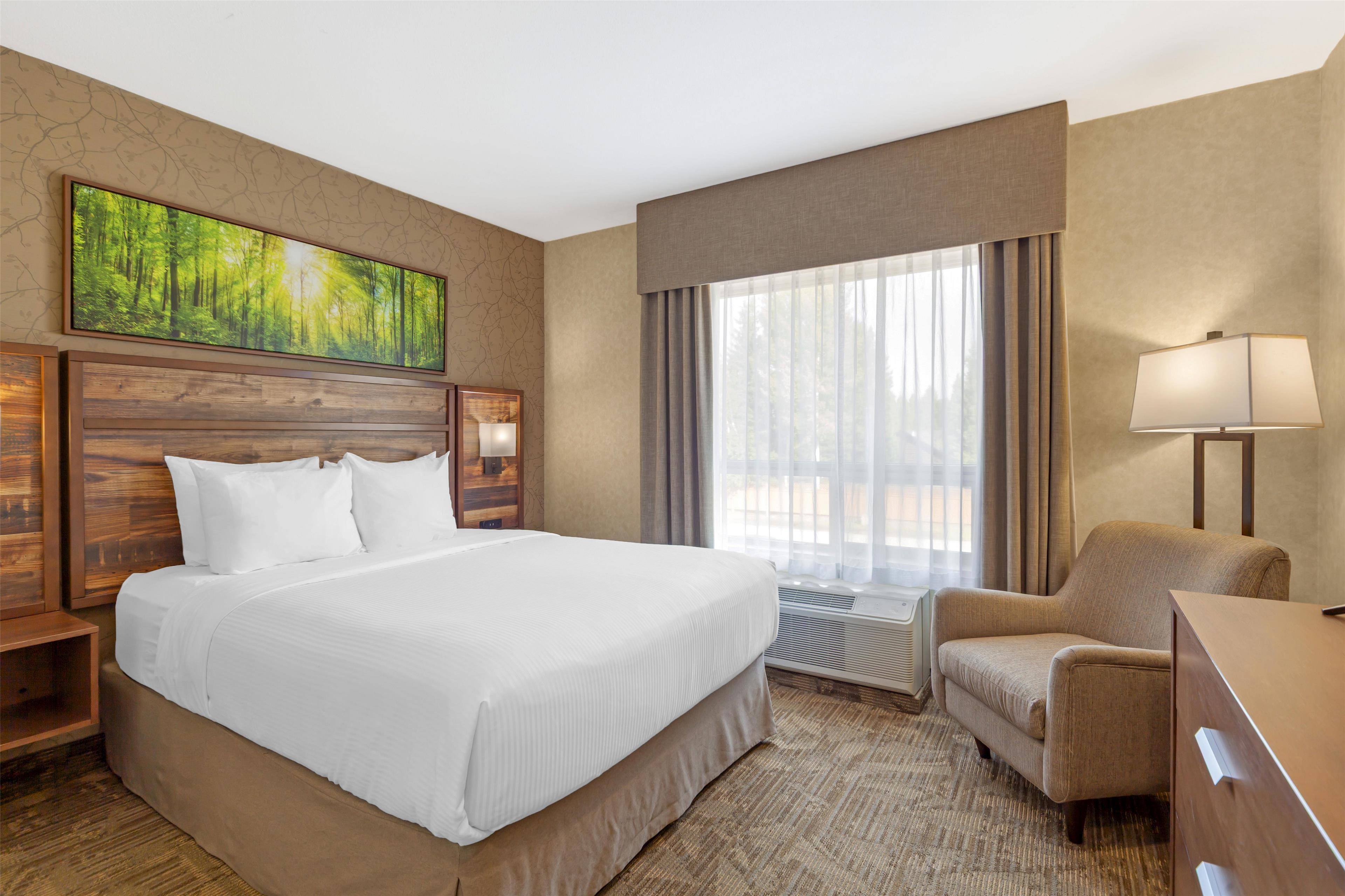 2 Bedrooms, Suite