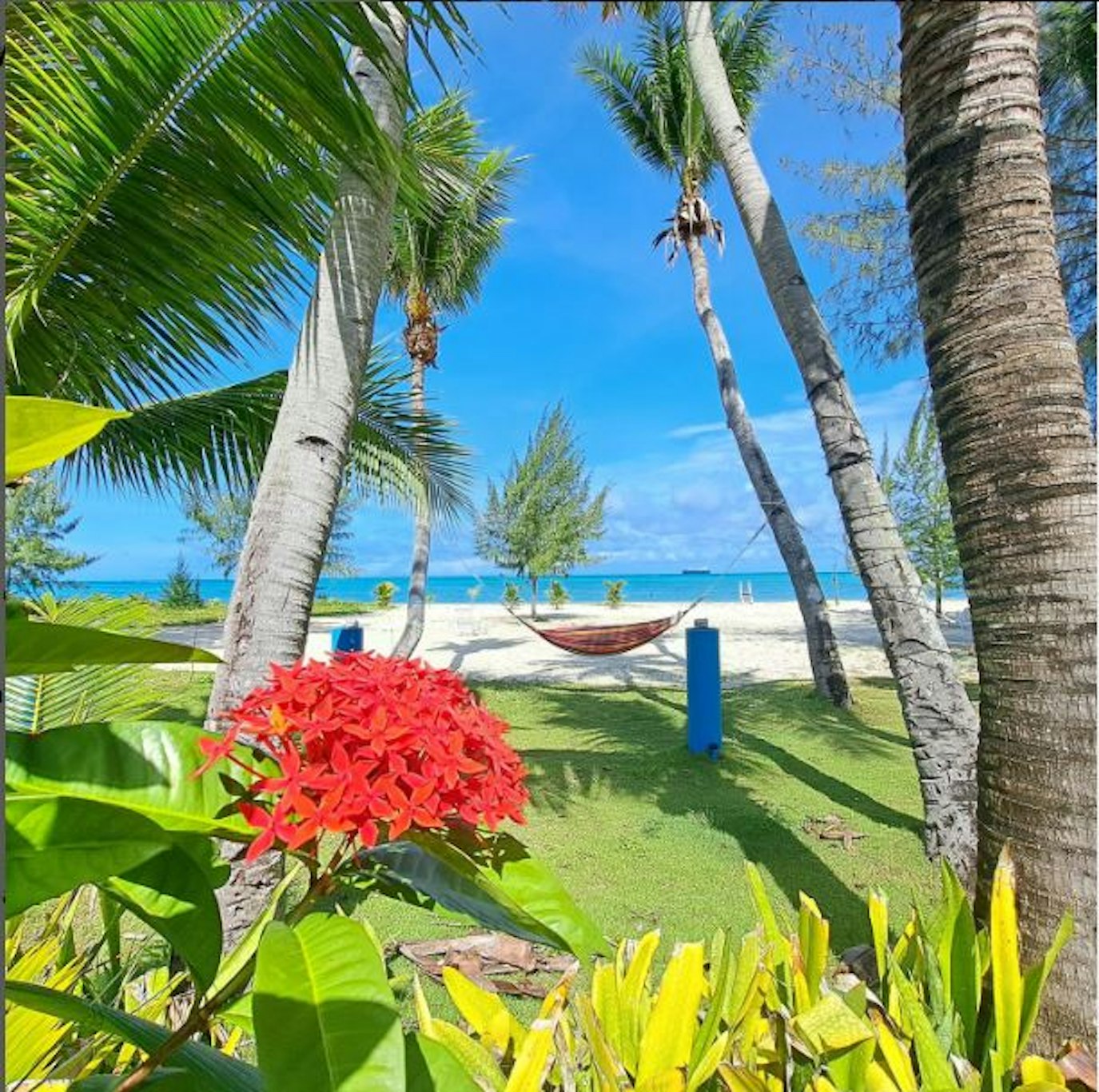 Grandvrio Resort Saipan 38/48
