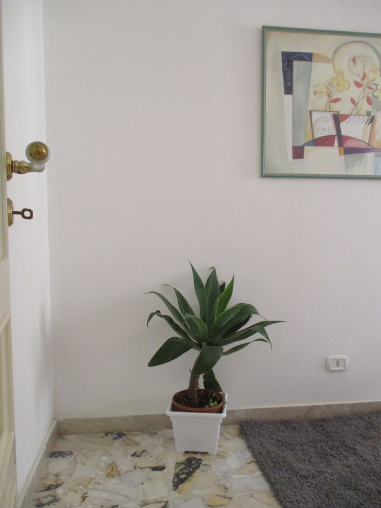 Maison Ortigia 4/50
