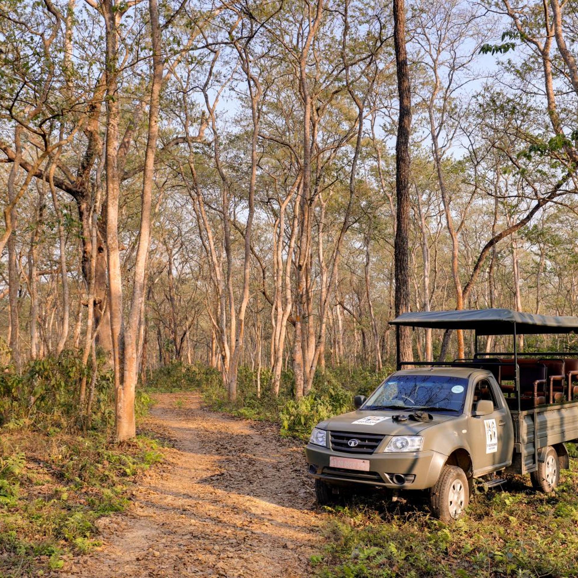 Tigerland Safari Resort 36/38