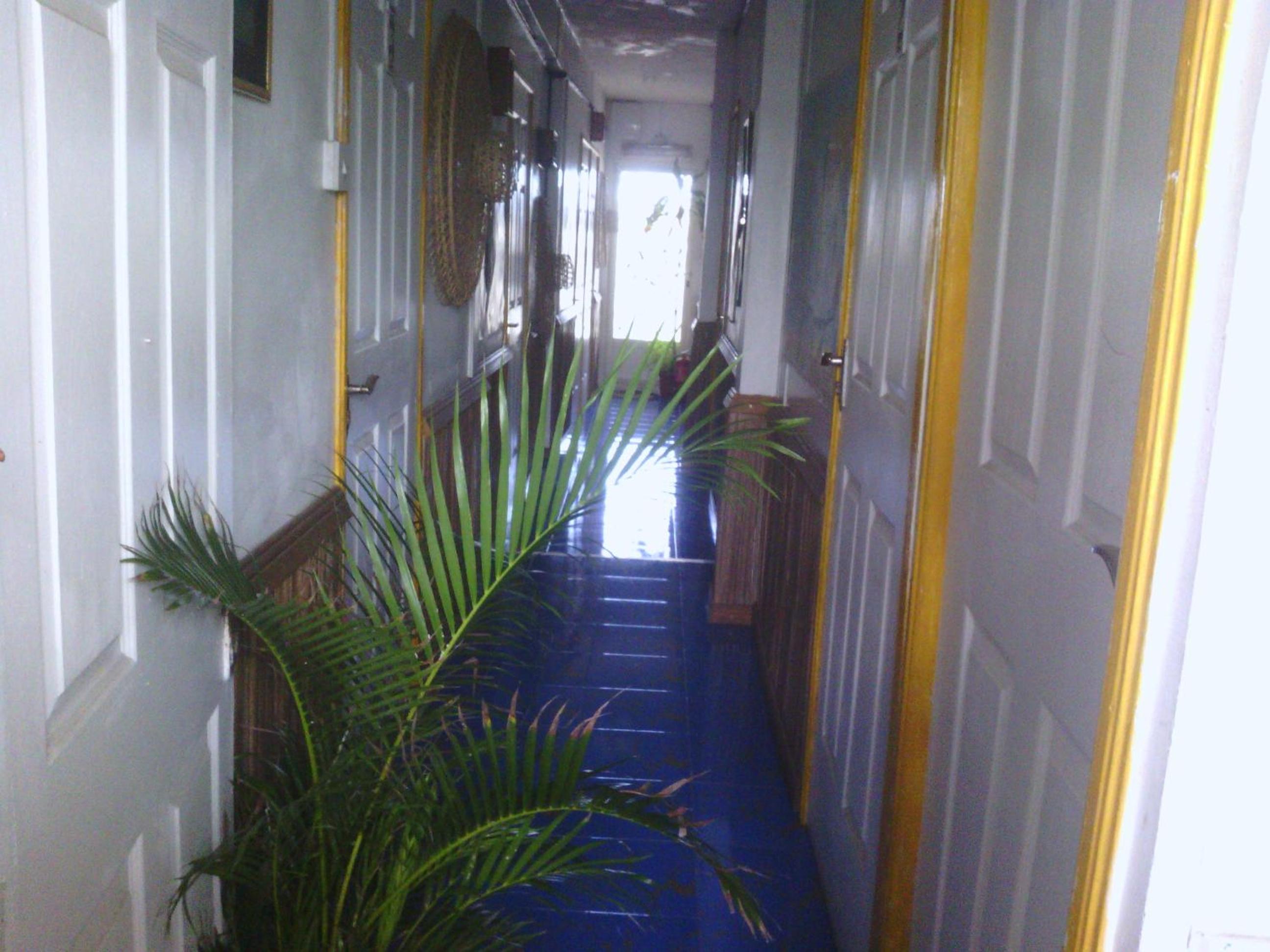 Le Bamboo 23/25