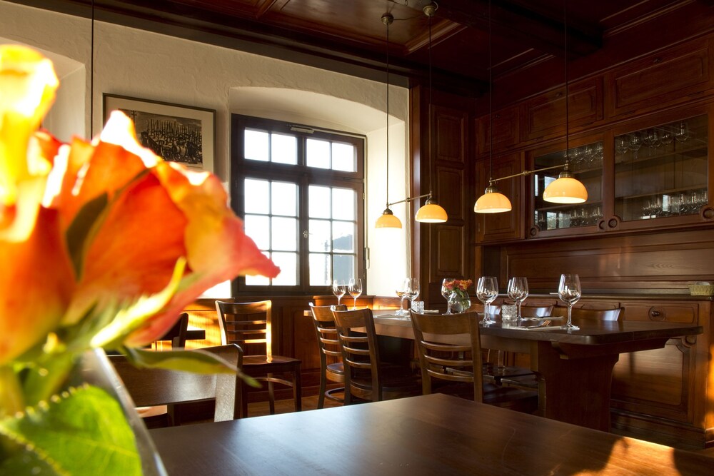 Taste Style Baren Auggen 22/41