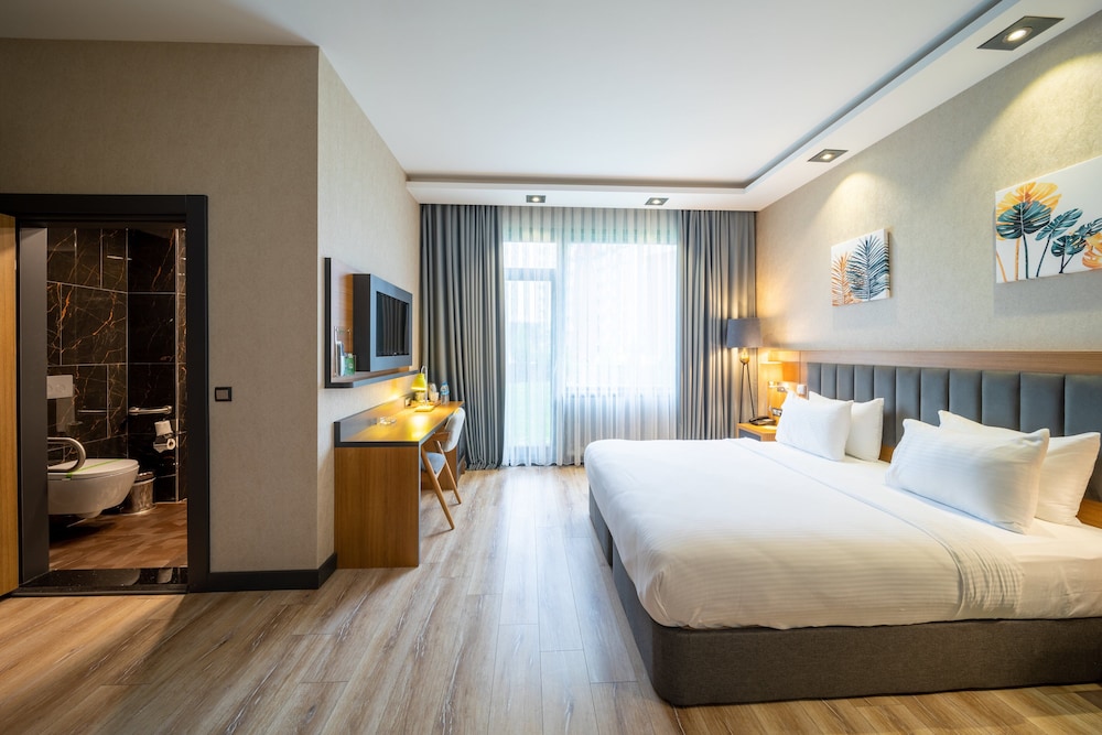 Holiday Inn Trabzon-East by IHG 15/43