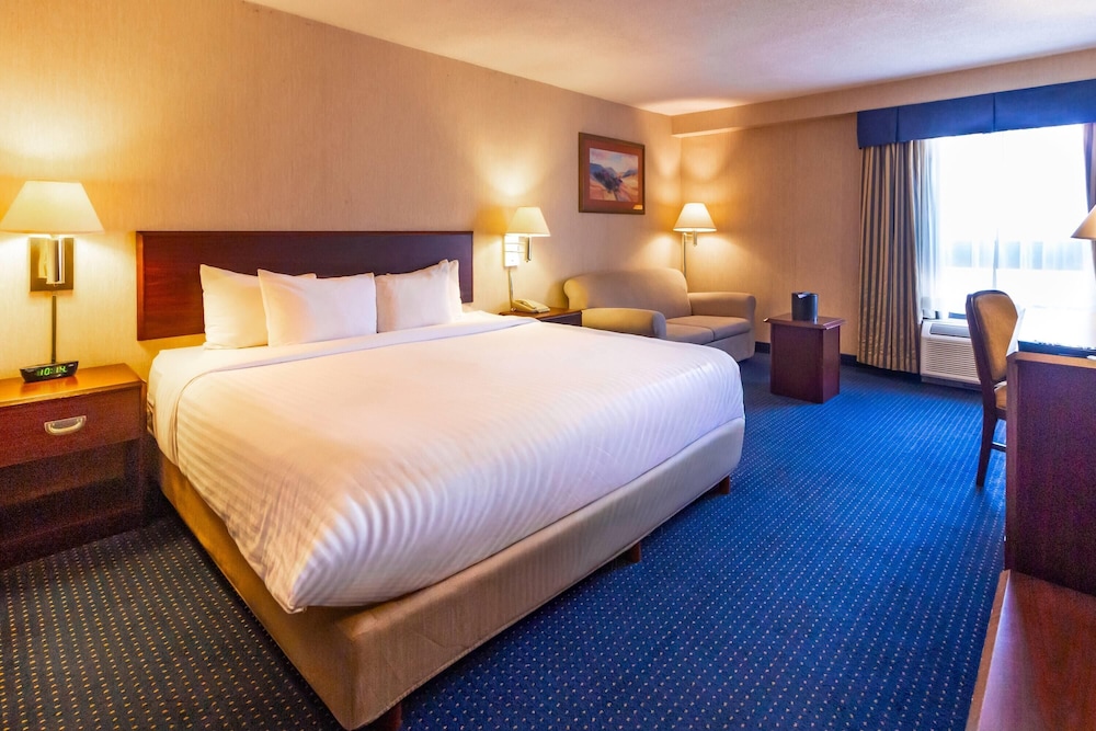 غرفة واسعة بسرير كينج، Wyndham Garden Monterrey Norte 7/10