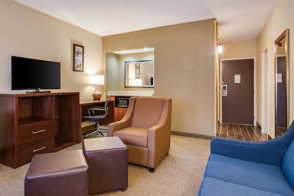 Comfort Inn Roswell-Dunwoody 23/44