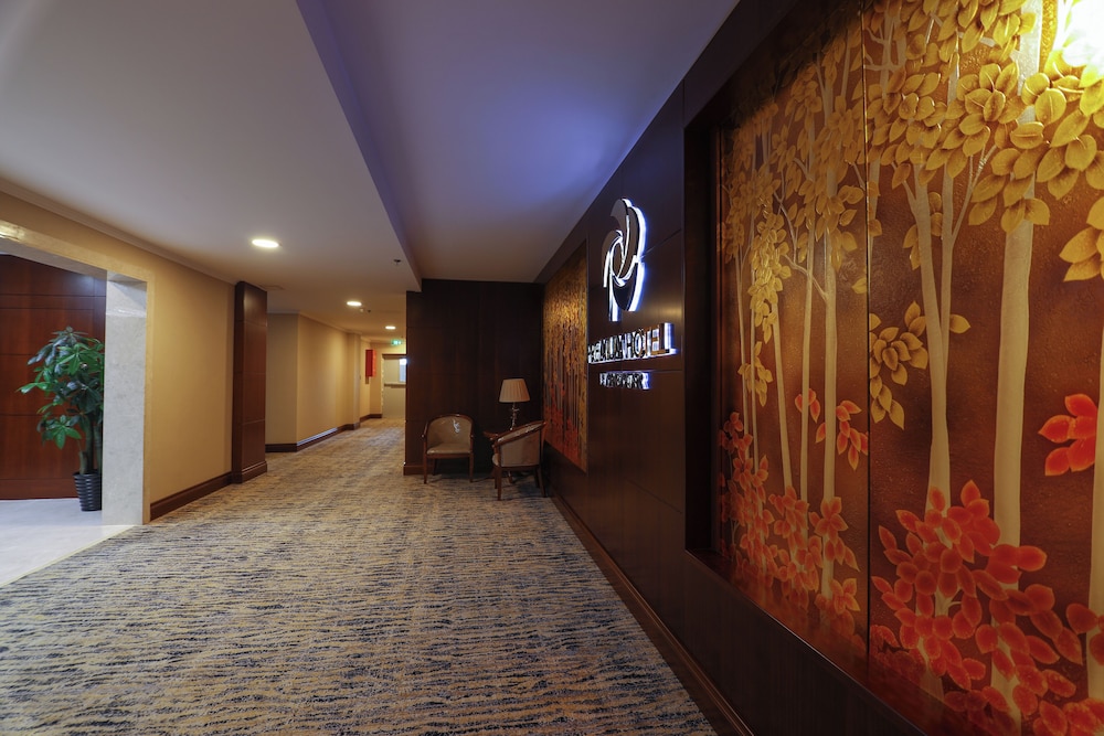 Premium Hotel 34/59