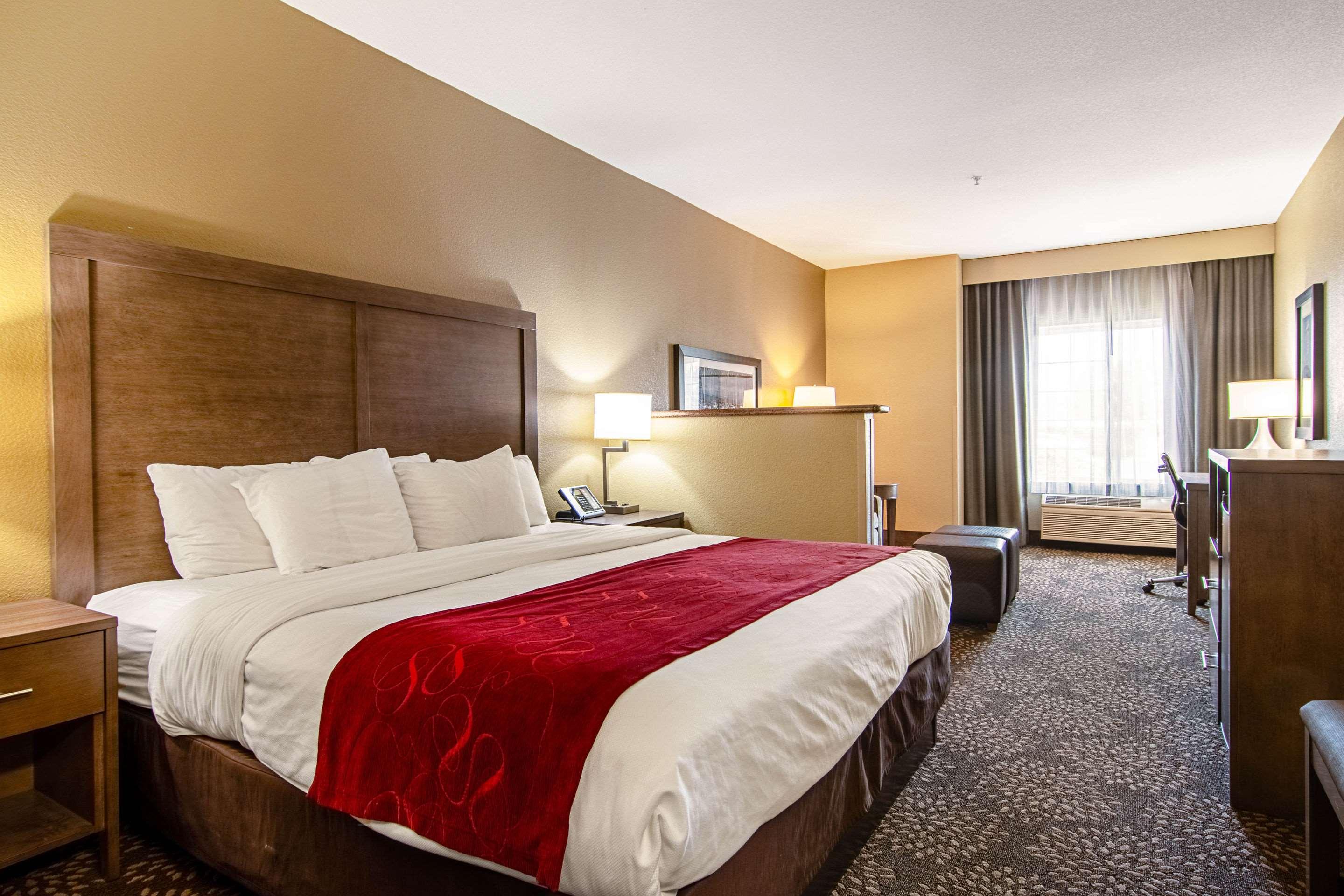 Suite, King Bed