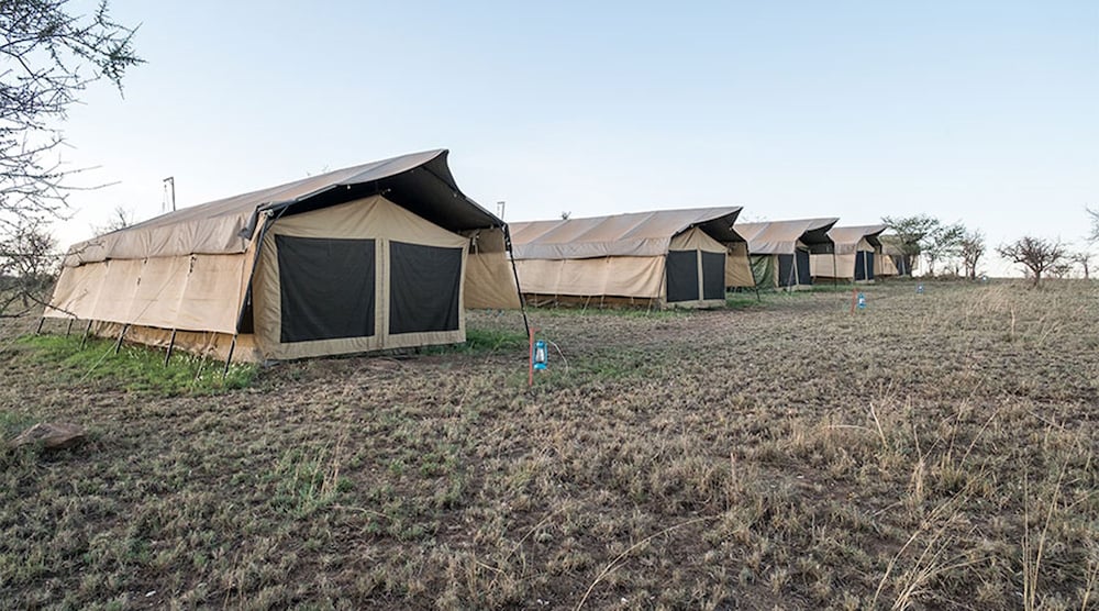 SERENGETI WILDEBEEST CAMP 49/55