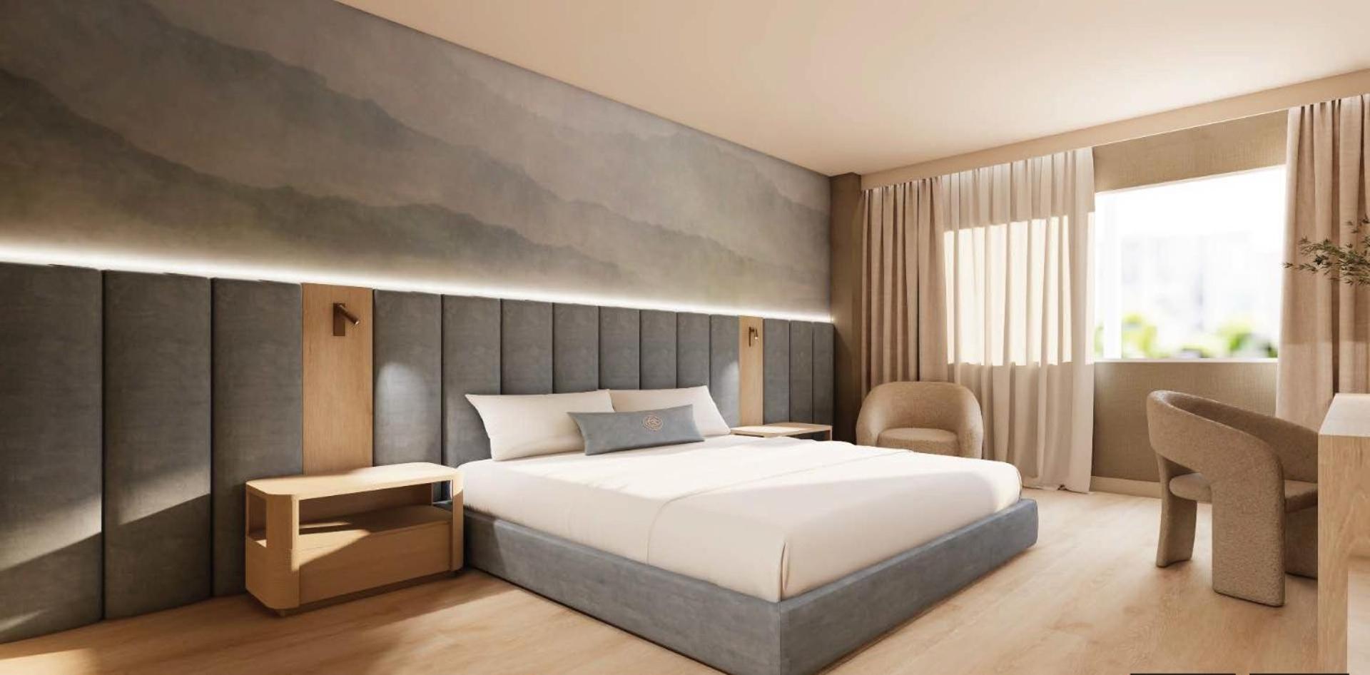 Room, Single, King Bed, Accessible