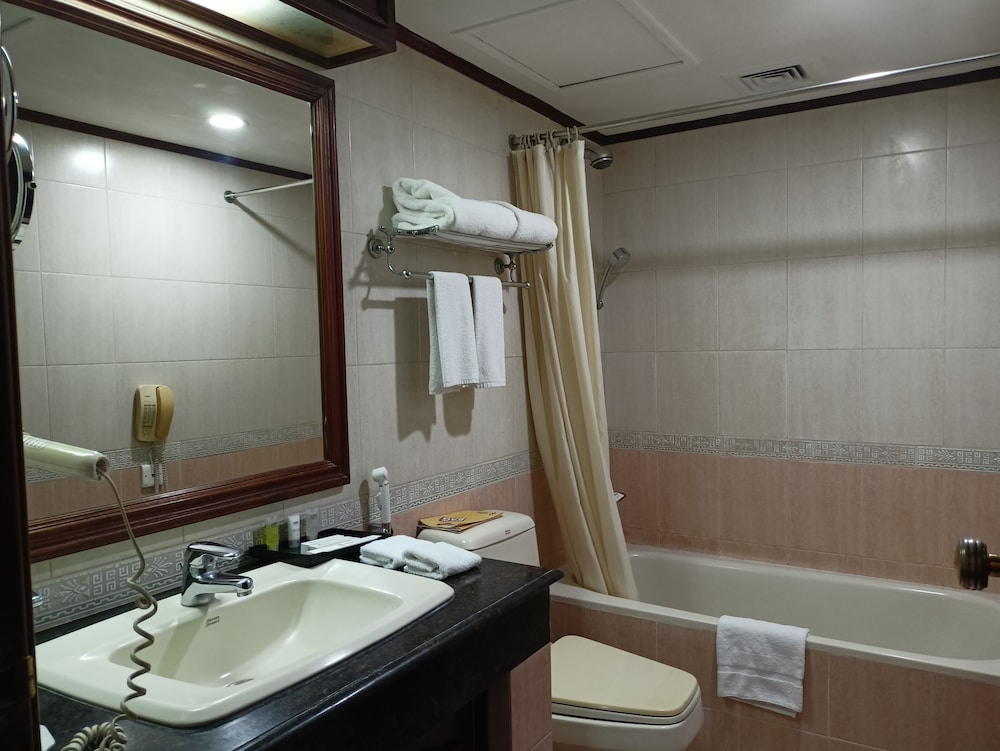 غرفة ديلوكس بسرير كينج، Hotel Sarina 17/21