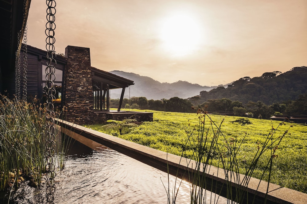 Nyungwe Tea Forest Resort 63/71
