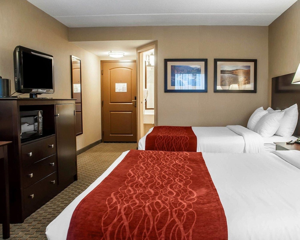 Comfort Inn & Suites Watertown - 1000 Islands 15/54