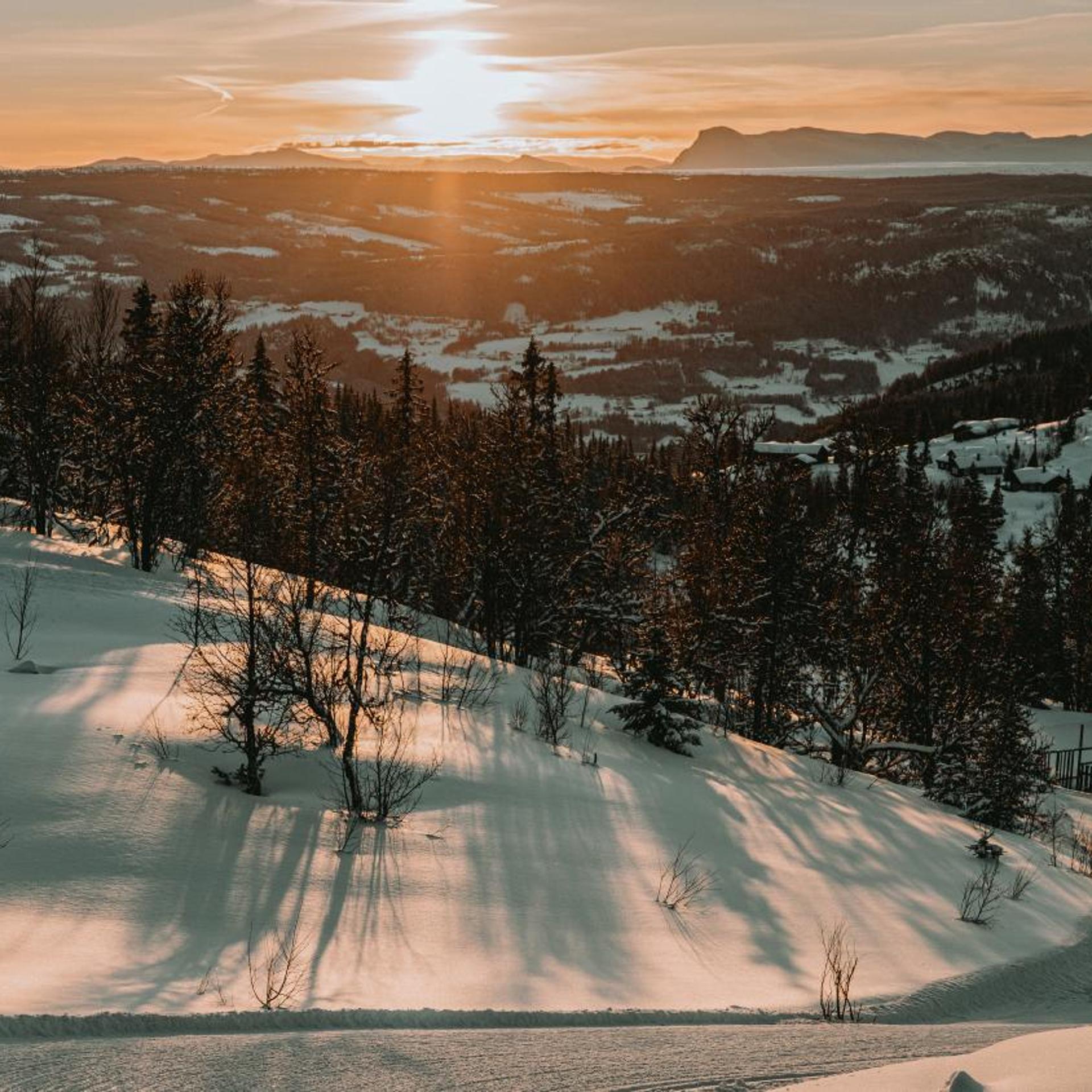 Danebu Kongsgaard 51/56