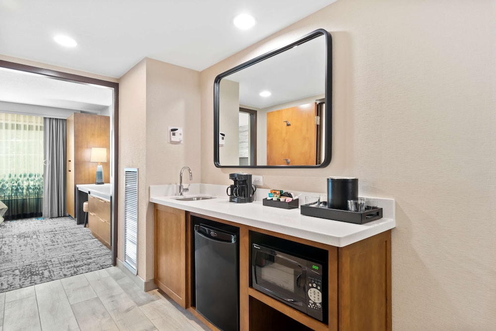 Embassy Suites By Hilton Anaheim South 36/51